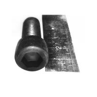 Винт М12 внутренний шестигранник 10 WS12030 «Русский Инструмент» (РИ)