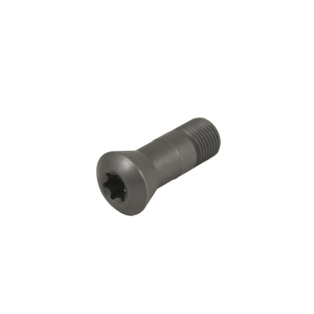 Винт М8 TORX T30 M80P125-252 для механического крепления пластин «Русский Инструмент» (РИ)